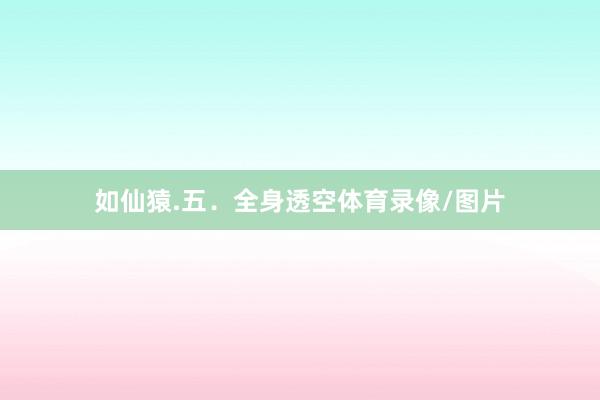 如仙猿.五．全身透空体育录像/图片