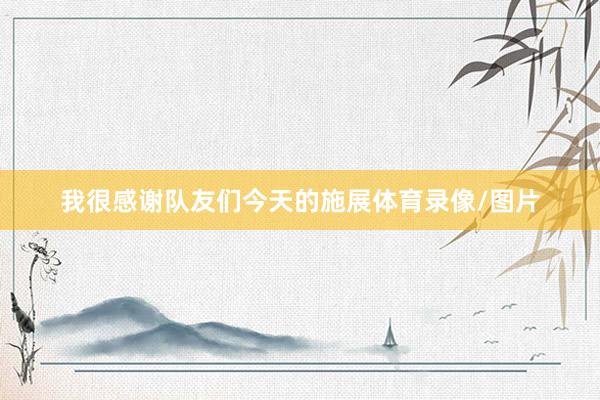 我很感谢队友们今天的施展体育录像/图片