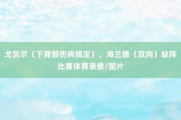 戈贝尔（下背部伤病搞定）、海兰德（双向）缺阵比赛体育录像/图片