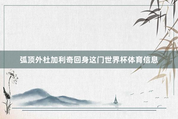 弧顶外杜加利奇回身这门世界杯体育信息
