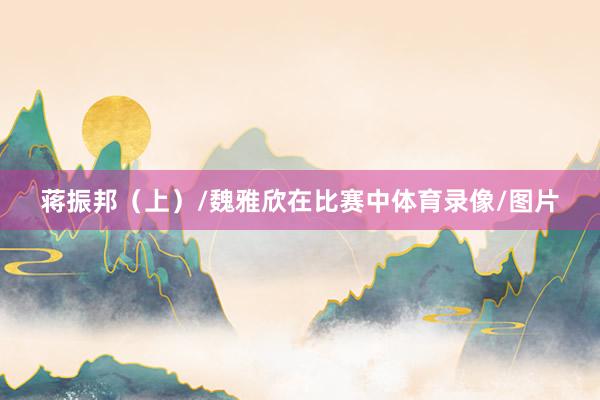 蒋振邦（上）/魏雅欣在比赛中体育录像/图片