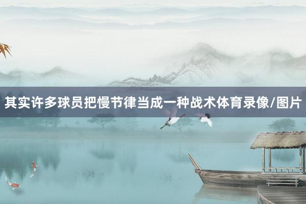 其实许多球员把慢节律当成一种战术体育录像/图片