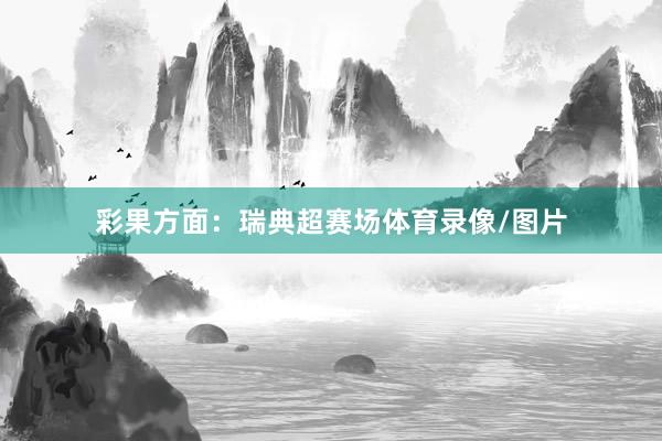 彩果方面：瑞典超赛场体育录像/图片