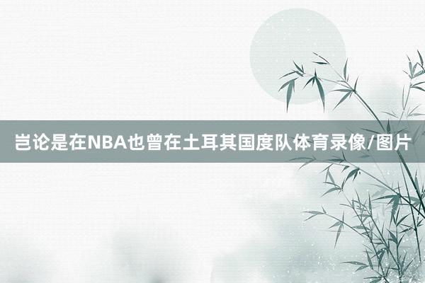 岂论是在NBA也曾在土耳其国度队体育录像/图片