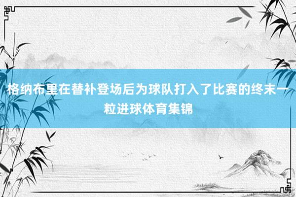 格纳布里在替补登场后为球队打入了比赛的终末一粒进球体育集锦