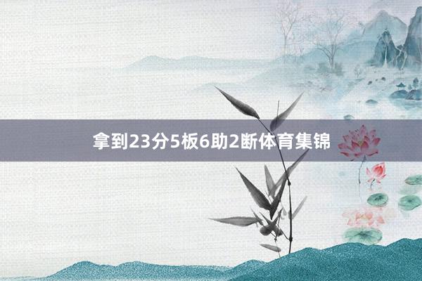 拿到23分5板6助2断体育集锦