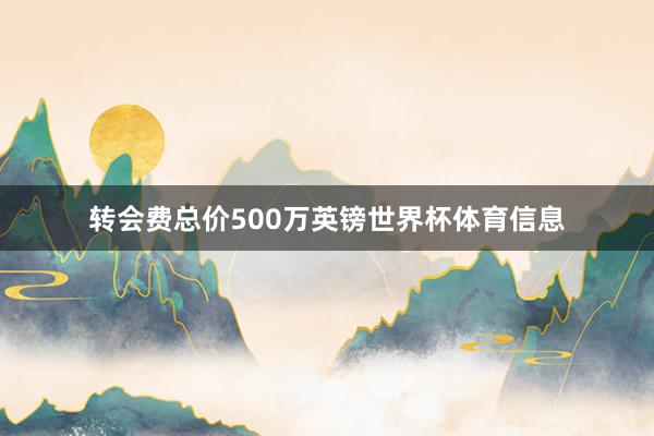 转会费总价500万英镑世界杯体育信息