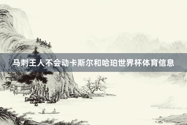 马刺王人不会动卡斯尔和哈珀世界杯体育信息