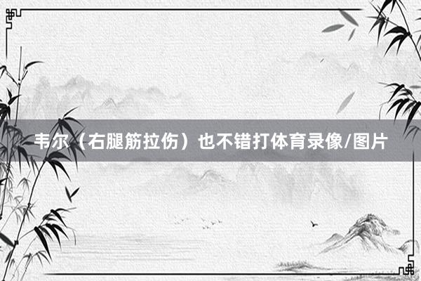 韦尔（右腿筋拉伤）也不错打体育录像/图片
