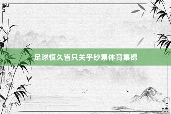 足球恒久皆只关乎钞票体育集锦