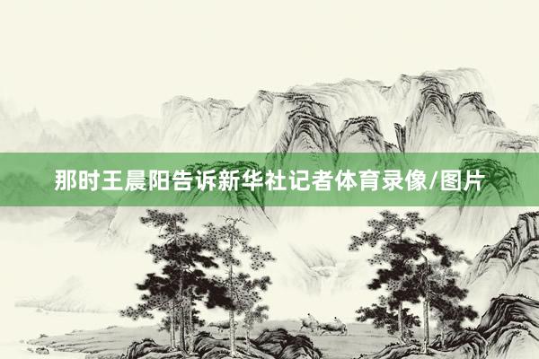 那时王晨阳告诉新华社记者体育录像/图片