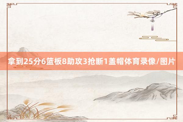拿到25分6篮板8助攻3抢断1盖帽体育录像/图片