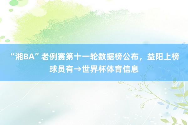 “湘BA”老例赛第十一轮数据榜公布，益阳上榜球员有→世界杯体育信息