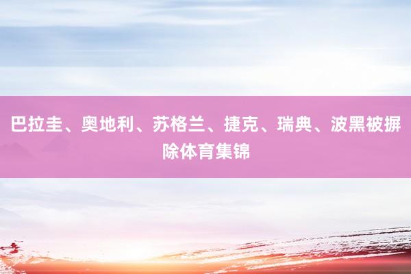 巴拉圭、奥地利、苏格兰、捷克、瑞典、波黑被摒除体育集锦