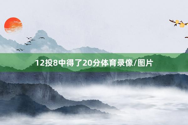 12投8中得了20分体育录像/图片